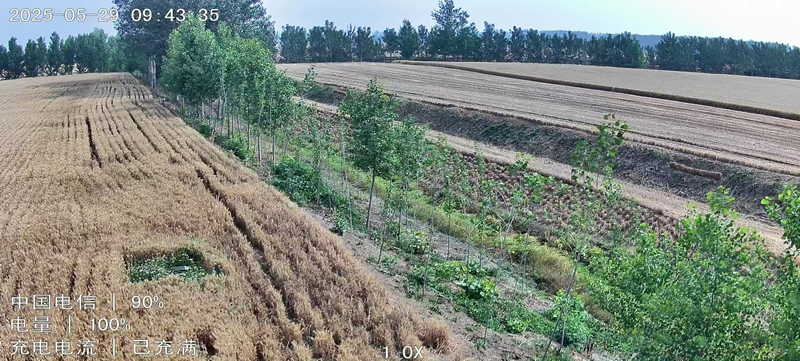 驻马店市西平县田地安装4G太阳能无线球机